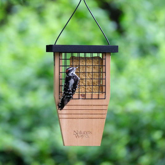 Cedar Tail-Prop Suet Feeder