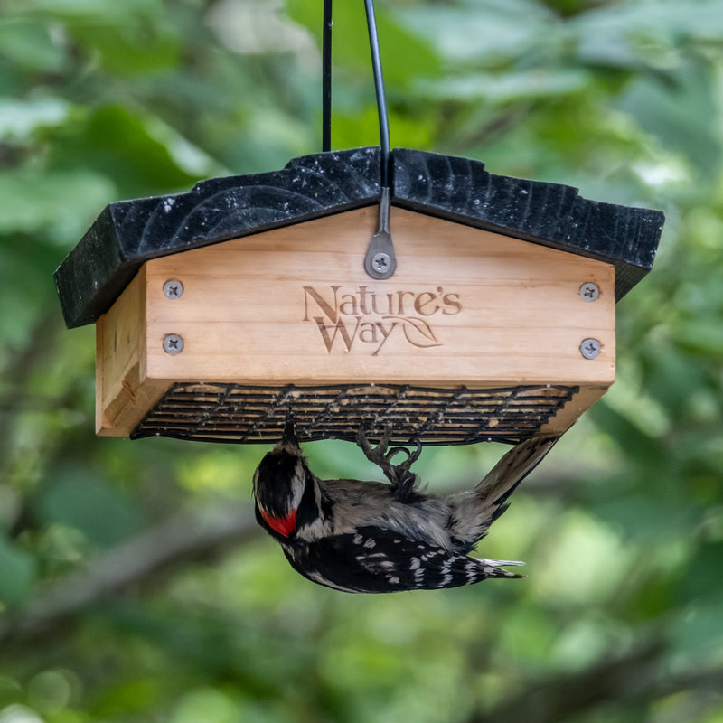 Load image into Gallery viewer, Cedar Upside-Down Suet Feeder
