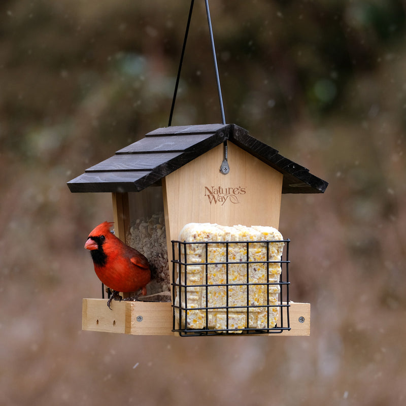 Load image into Gallery viewer, 3 QT Hopper Feeder w/ 2 Suet Cages (Model# CWF28)
