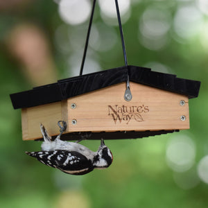 Cedar Upside-Down Suet Feeder