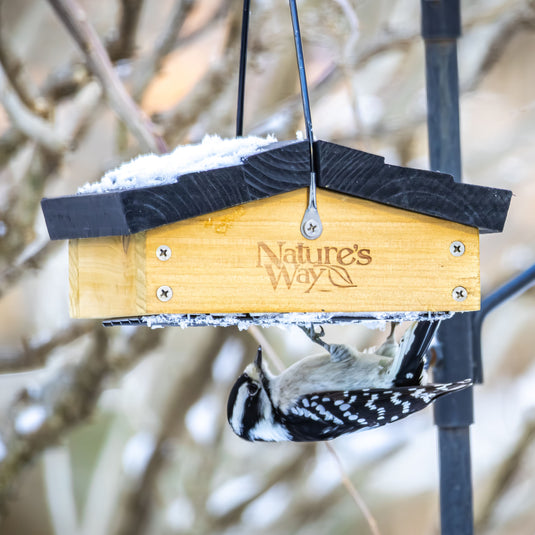 Cedar Upside-Down Suet Feeder