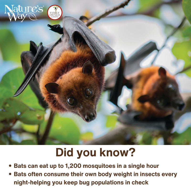 Load image into Gallery viewer, Cedar Single Chamber Bat House
