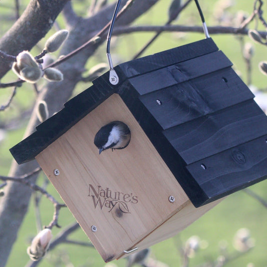 Traditional Cedar Wren House with Clean-Out Door