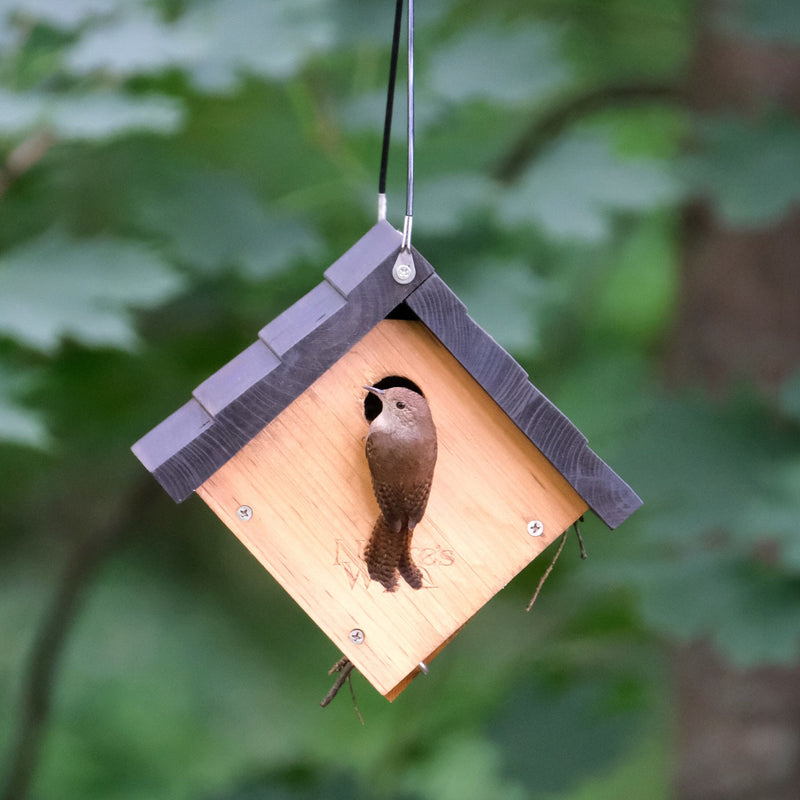 Traditional Cedar Wren House with Clean-Out Door