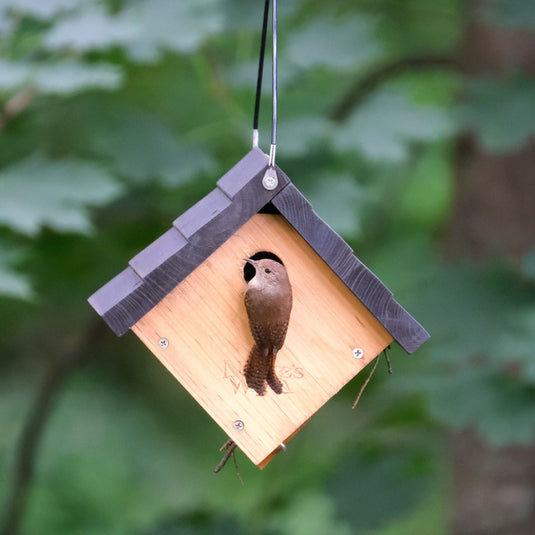 Traditional Cedar Wren House with Clean-Out Door