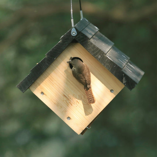 Traditional Cedar Wren House with Clean-Out Door