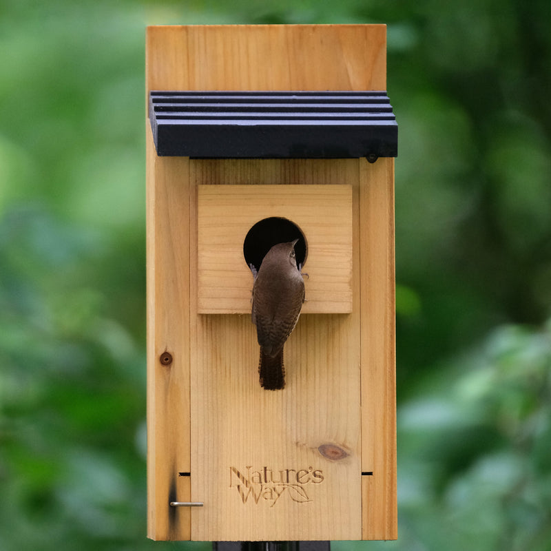 Load image into Gallery viewer, Cedar Bluebird House with Clean-out Door and Predator Guard
