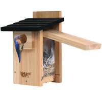 Cedar Bluebird House with Viewing Window and Clean-Out Door