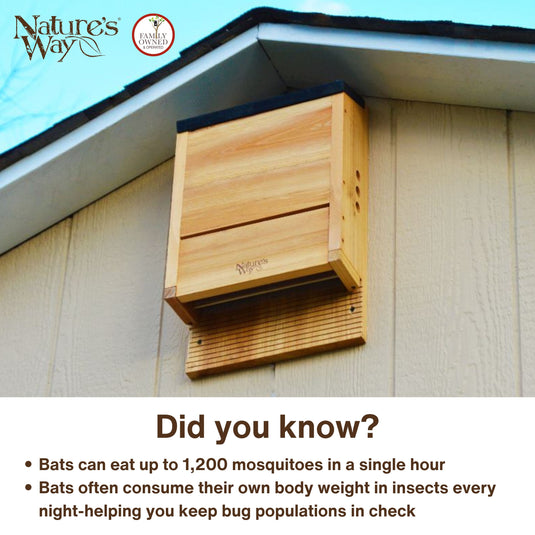 Cedar Three Chamber Bat House