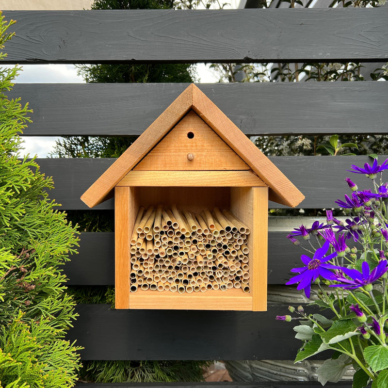 Load image into Gallery viewer, Summer Natural Reeds for Summer Leaf Bees - 6mm
