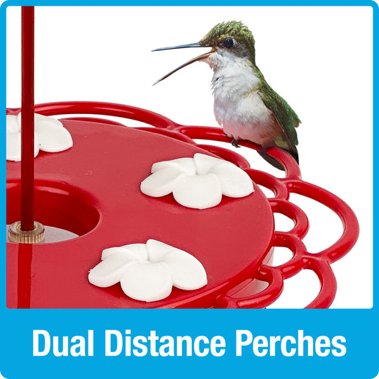 2-in-1 Plastic Dish Hummingbird Feeder - 13 oz - Red (Model