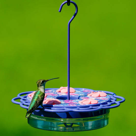 Petunia Passion Plastic Dish Hummingbird Feeder - 13 oz - Purple (Model