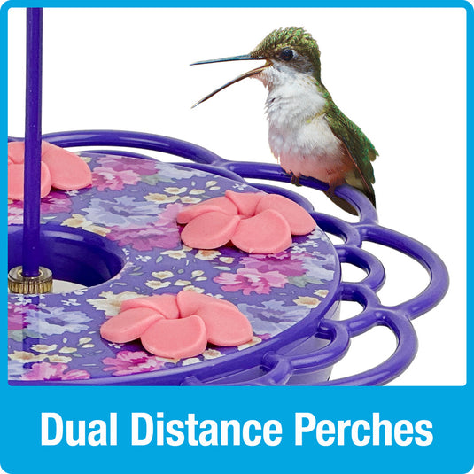 Petunia Passion Plastic Dish Hummingbird Feeder - 13 oz - Purple (Model