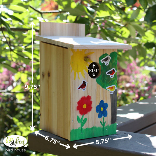 My First™ Build-It-Together Bird House w/ Viewing Window