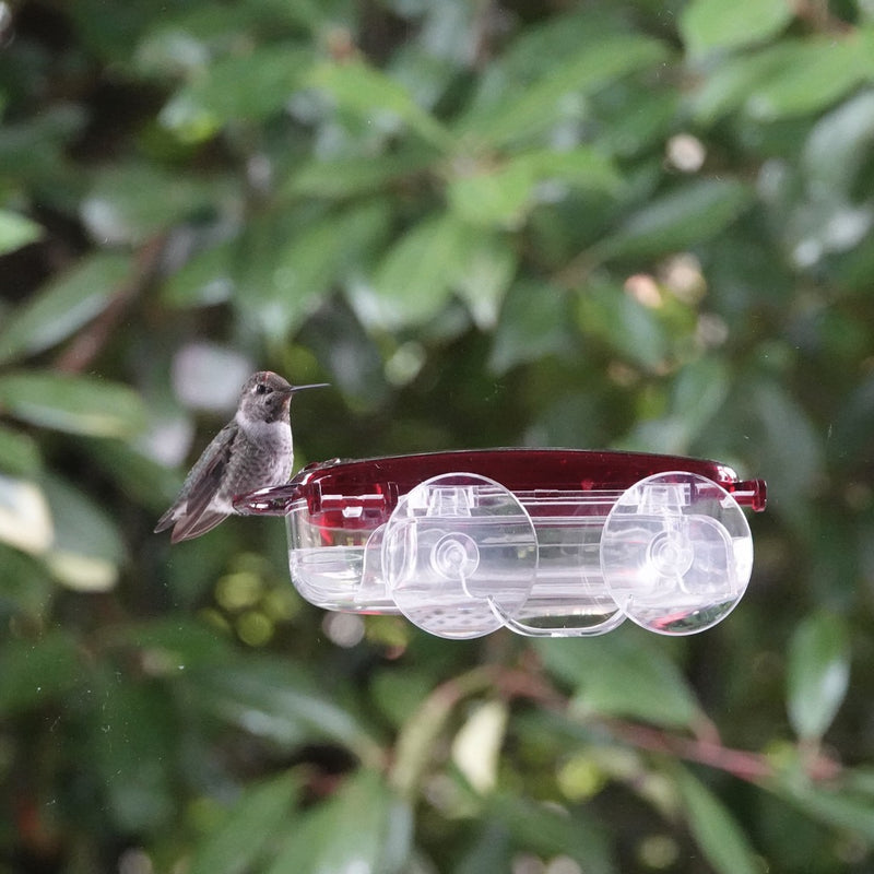 Load image into Gallery viewer, Traditional Window Hummingbird Feeder (Model# TWF1)
