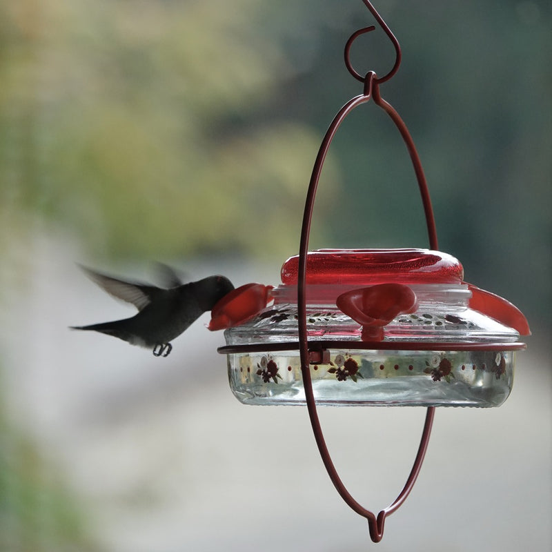 Load image into Gallery viewer, Decorative Glass Top-Fill Hummingbird Feeder - Crimson Corsage (Model# DTHF1)
