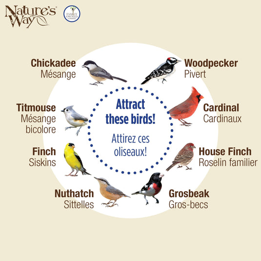 Funnel Flip-Top Mesh Sunflower Feeder