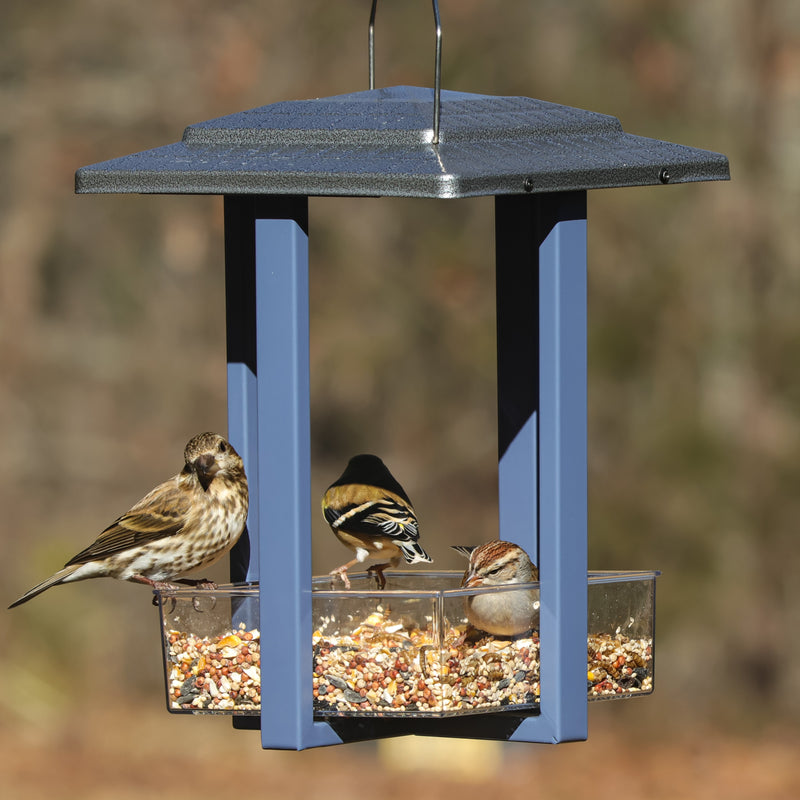 Load image into Gallery viewer, Fly-in Hanging Metal Fly Through Bird Feeder
