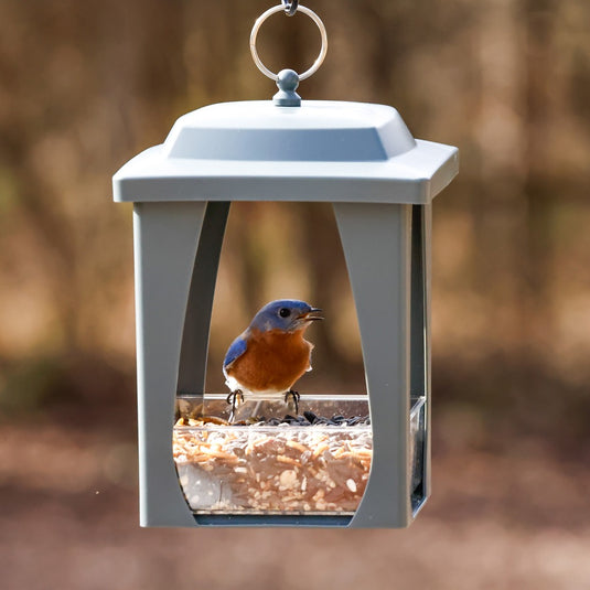 Dine-in Hanging Plastic Fly Through Bird Feeder - Grey