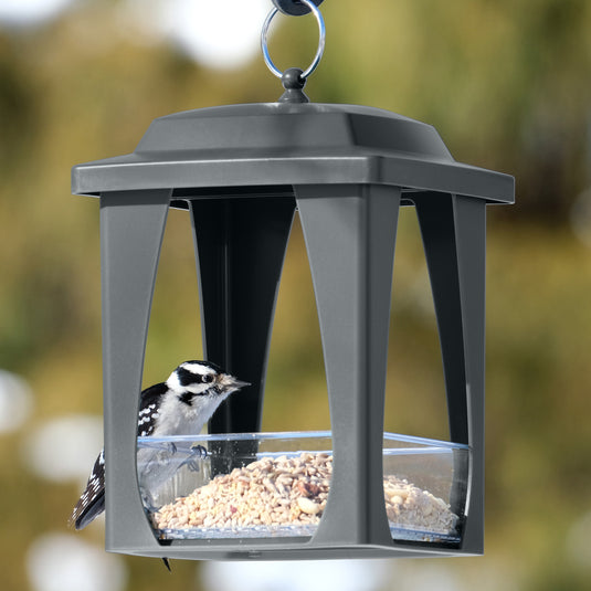 Dine-in Hanging Plastic Fly Through Bird Feeder - Grey