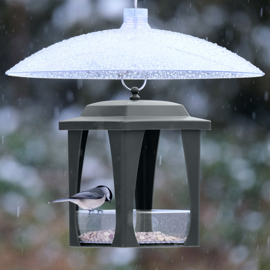 Squirrel Shield 16-inch Dual-Mount Transparent Squirrel Baffle