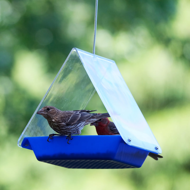 Load image into Gallery viewer, Clear Canopy Flythrough Bird Feeder
