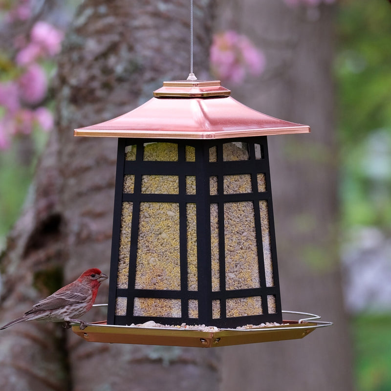 Load image into Gallery viewer, Copper Arches Metal Gazebo Bird Feeder
