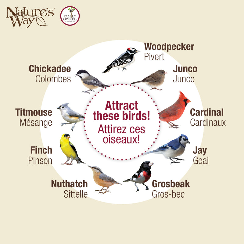 Load image into Gallery viewer, Country Cottage Metal Gazebo Bird Feeder
