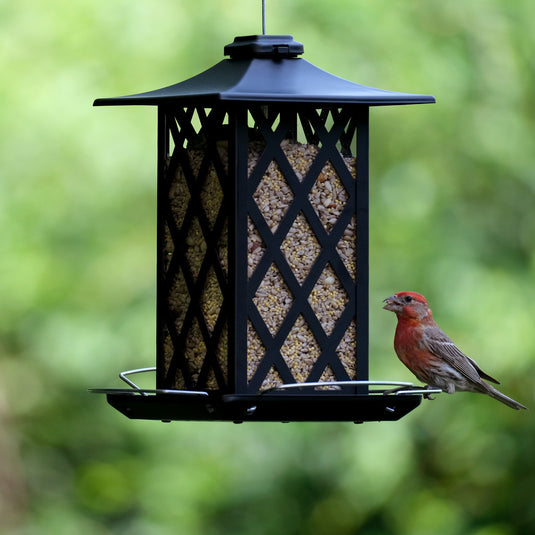 Contemporary Lantern Gazebo Bird Feeder