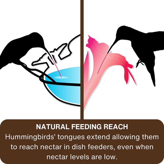 Mason Jar Blue Handblown Glass Top-Fill Dish Hummingbird Feeder