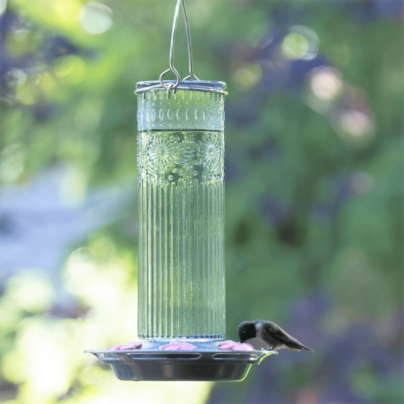 Load image into Gallery viewer, male ruby throated hummingbird on hummingbird feeder ANTGHF2
