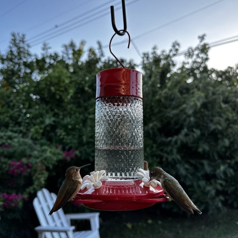 Load image into Gallery viewer, Charming Cherry Gravity Hummingbird Feeder - 13 oz (Model# TGF3)
