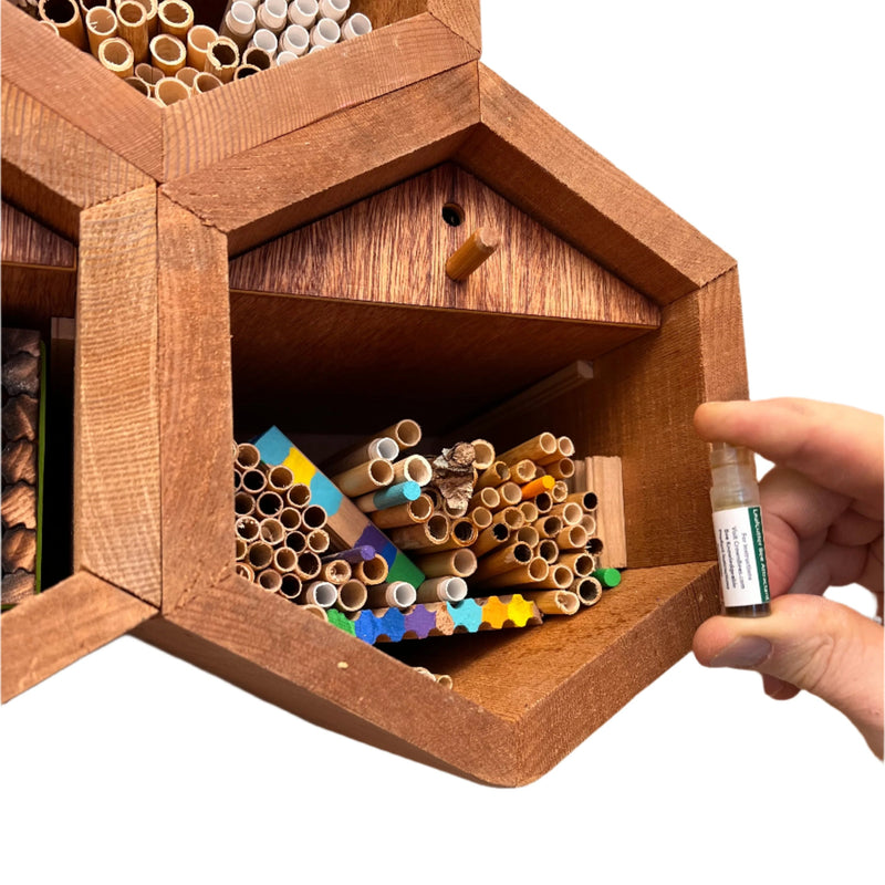 Load image into Gallery viewer, InvitaBee Summer Leaf Bee Attractant

