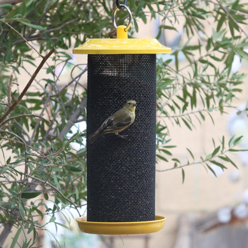 Sunglow Metal Mesh Thistle Bird Feeder