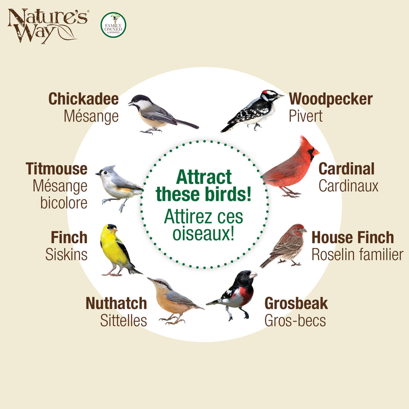 Load image into Gallery viewer, Cobalt Metal Mesh Mixed Seed and Peanut Bird Feeder
