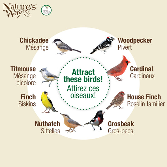 Cobalt Metal Mesh Mixed Seed and Peanut Bird Feeder