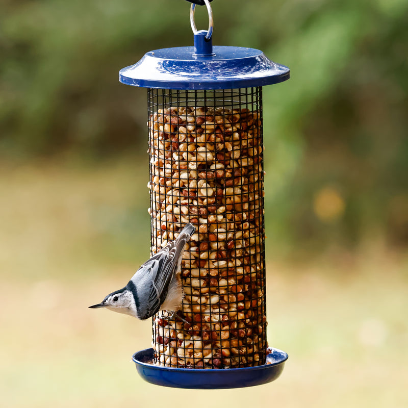 Load image into Gallery viewer, Cobalt Metal Mesh Mixed Seed and Peanut Bird Feeder
