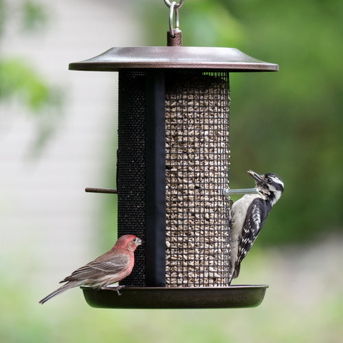 Beloved Bronze Dual-Chamber Metal Mesh Bird Feeder