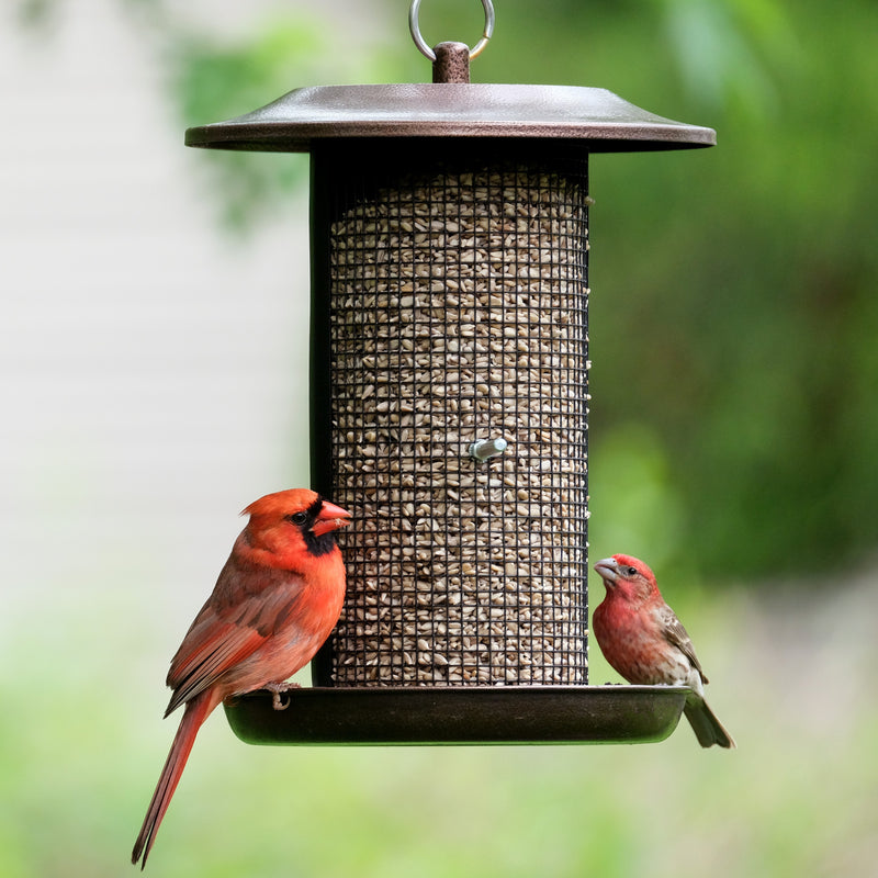 Load image into Gallery viewer, Beloved Bronze Dual-Chamber Metal Mesh Bird Feeder
