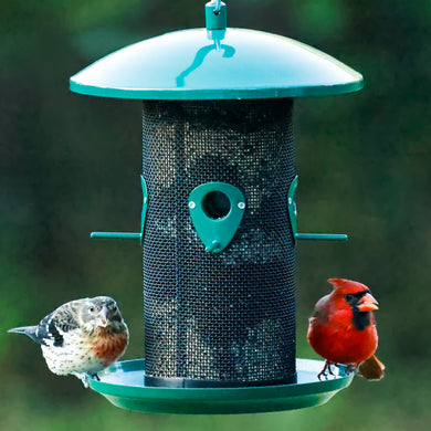 Perch If You Please Verdigris Metal Mesh Mixed Seed Bird Feeder