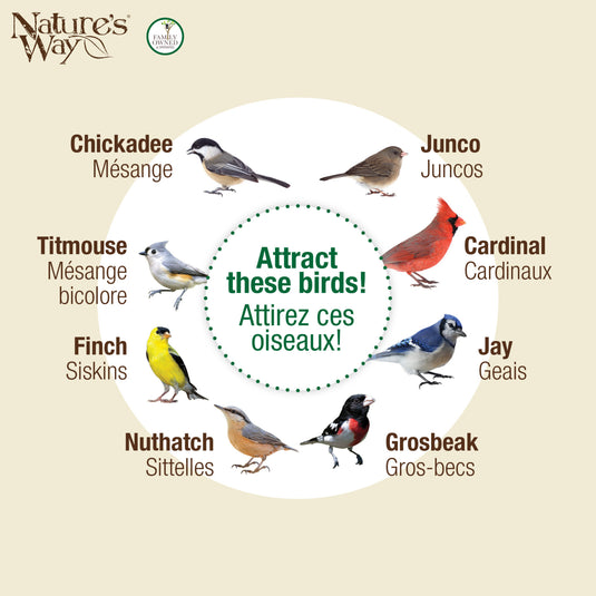 Perch If You Please Verdigris Metal Mesh Mixed Seed Bird Feeder