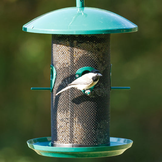 Perch If You Please Verdigris Metal Mesh Mixed Seed Bird Feeder