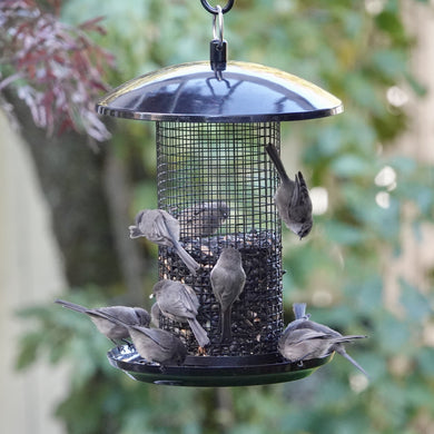 Midnight Metal Mesh Mixed Seed and Peanut Bird Feeder
