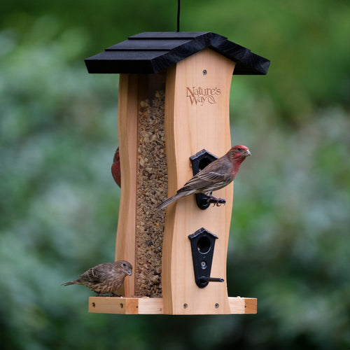 Vertical Wave Feeder