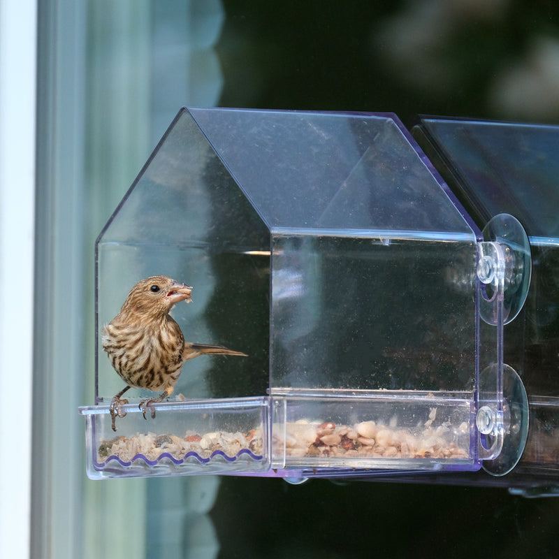 Clear View Window Feeder – Nature’s Way Bird Products