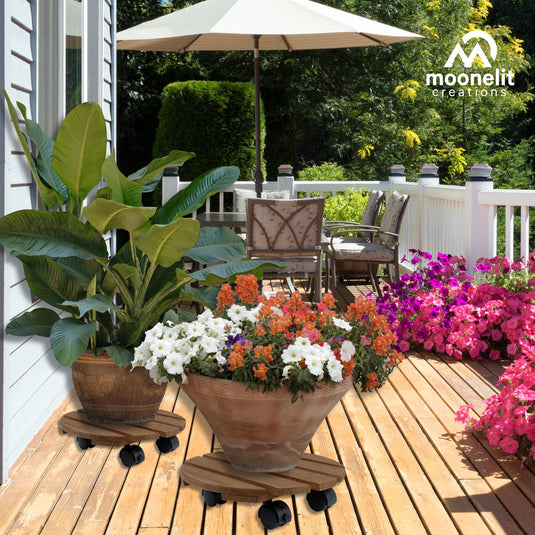 2 Pack Fir Wood 12" Plant Caddy