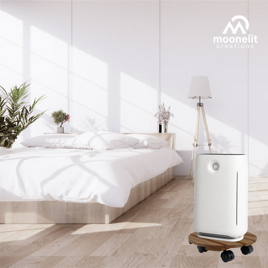 2 Pack Fir Wood 12" Plant Caddy