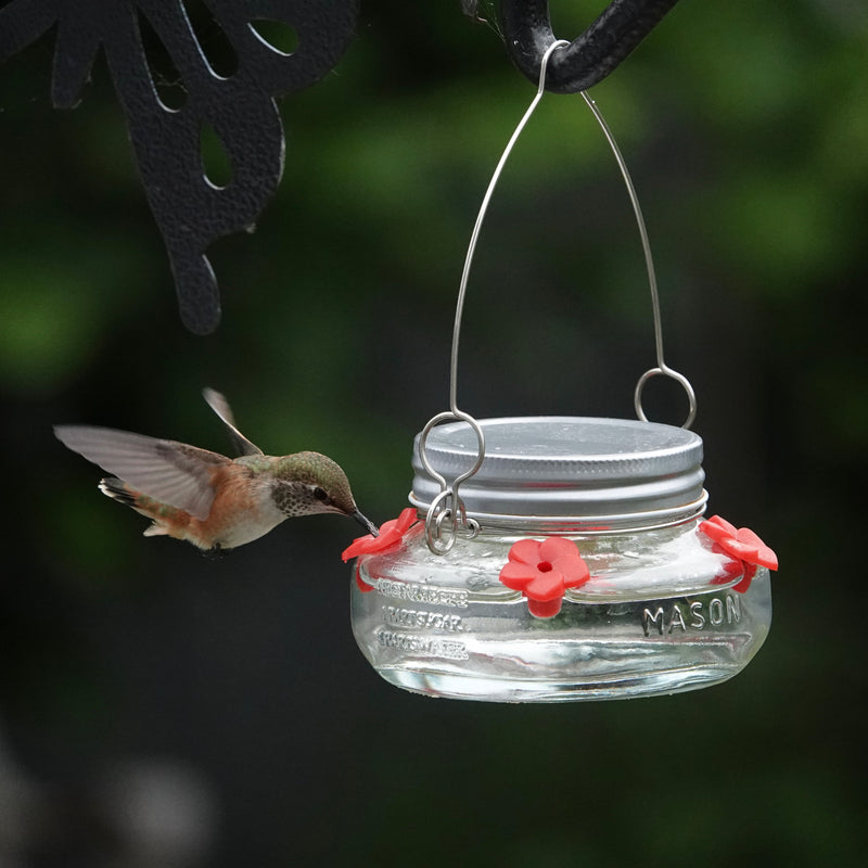 Load image into Gallery viewer, Mason Jar Glass Top-Fill Dish Hummingbird Feeder
