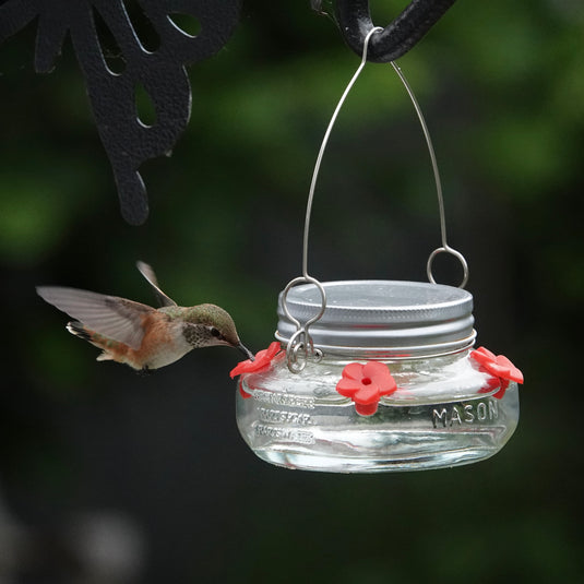 Mason Jar Glass Top-Fill Dish Hummingbird Feeder