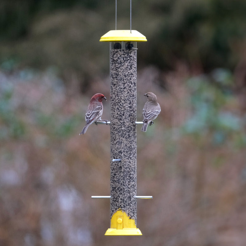 Load image into Gallery viewer, Bottoms Up Metal Thistle Finch Feeder
